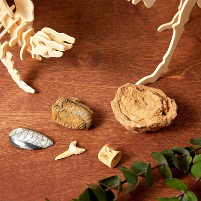 Okuna Outpost Dinosaur Bone Replica Dig Site Kit With Educational Cards For Kids, 15 Species 3 Okuna Outpost Dinosaur Bone Replica Dig Site Kit With Educational Cards For Kids, 15 Species