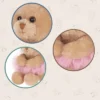 Bearington Bella Plush Ballerina Stuffed Animal Teddy Bear, 6 Inch -Toy Store GUEST 127dba5d 7192 483e 9e9a 77d2237374bf