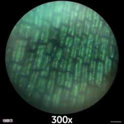 50PCs Microscope Kit Set In Carrying Box For Kids Educational Science Lab With 120X - 1200X Microscope Slides Specimens -Play22usa -Toy Store GUEST 14f9f7ff e041 41f7 9be1 a6dd223ca546