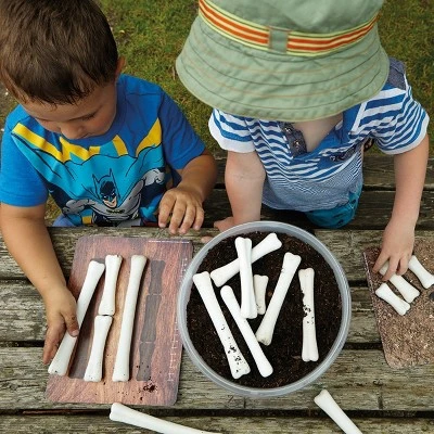 Yellow Door Dinosaur Bones Match & Measuring Cards 4 Yellow Door Dinosaur Bones Match & Measuring Cards - Image 2