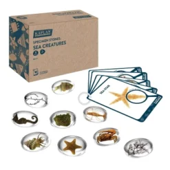 Kaplan Early Learning Specimen Stones And Tabletop Stand -Toy Store GUEST 1c958c8e 2fb3 48b1 aa99 54e3928a6e73