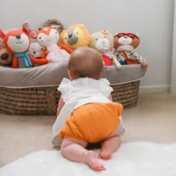 The Peanutshell Charlie The Bear Knit Plush 9 The Peanutshell Charlie The Bear Knit Plush -Toy Store GUEST 24bcf7a7 0953 4316 aa20 e5b5c1ed53e4