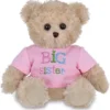 Bearington Ima Big Sister Plush Stuffed Animal Teddy Bear In Pink T-Shirt, 12 Inches -Toy Store GUEST 2b88ae71 b37c 4280 af6d b95b41a2c25e