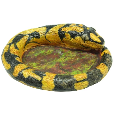 WILD! Environmental Science Extreme Snakes Of The World 7 WILD! Environmental Science Extreme Snakes Of The World - Image 5