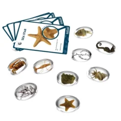 Kaplan Early Learning Specimen Stones And Tabletop Stand -Toy Store GUEST 2e7312ae 6f13 4537 9ae6 7a7813371cf4