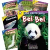 Teacher Created Materials Smithsonian Informational Text: Animals Spanish Grades K-1: 6-Book Set -Toy Store GUEST 32138434 f6a4 4369 9fe8 0477432296d4