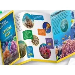 National Geographic Crystal Reef Science Kit -Toy Store GUEST 33e0881a ab84 41a7 8d0a f4466594f083