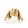 Living Nature Brown Dutch Lop Ear Plush Toy -Toy Store GUEST 363d8cdc 6b9e 4d99 b816 4c44236eac84