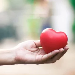 Neliblu 3" Valentines Day Hearts Smile Face Squeeze Stress Relief Heart Shape Stress Ball, Red 12-Pack -Toy Store GUEST 38117d8e a76e 4189 8ac0 32f31fac6e6c