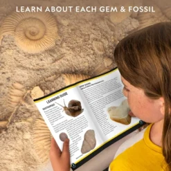 NATIONAL GEOGRAPHIC Mega Fossil & Gemstone Dig Kit, Excavate 10 Real Fossils & 10 Real Gems, STEM Science Gift For Mineralogy And Geology Enthusiasts 10 NATIONAL GEOGRAPHIC Mega Fossil & Gemstone Dig Kit, Excavate 10 Real Fossils & 10 Real Gems, STEM Science Gift For Mineralogy And Geology Enthusiasts -Toy Store GUEST 3b0f979f cf18 48f7 9c92 958eb479f9cb