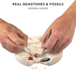 NATIONAL GEOGRAPHIC Mega Fossil & Gemstone Dig Kit, Excavate 10 Real Fossils & 10 Real Gems, STEM Science Gift For Mineralogy And Geology Enthusiasts