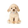Living Nature Giant Golden Lab Puppy Plush Toy 2 Living Nature Giant Golden Lab Puppy Plush Toy -Toy Store GUEST 425c1b70 4bf7 4f8b b39d a8affbca6fa7