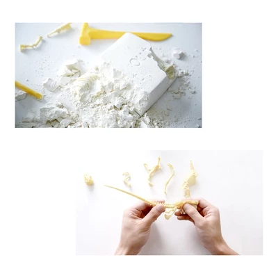 HamiltonBuhl Paleo Hunter Dig Kit For STEAM Education - Tyrannosaurus Rex 3 HamiltonBuhl Paleo Hunter Dig Kit For STEAM Education - Tyrannosaurus Rex