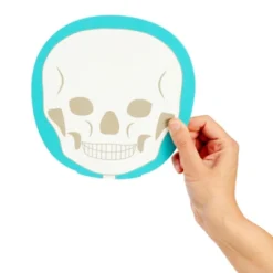 Blue Panda 17-Pcs Large Magnetic Human Body Puzzle For Kids, Double-Sided Anatomy And Organs, Skeleton, Body Parts Model (3 Ft) 11 Blue Panda 17-Pcs Large Magnetic Human Body Puzzle For Kids, Double-Sided Anatomy And Organs, Skeleton, Body Parts Model (3 Ft) -Toy Store GUEST 4a9ef202 11b6 45e3 9a69 6a709ad7be3b