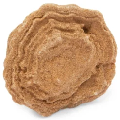 Okuna Outpost Dinosaur Bone Replica Dig Site Kit With Educational Cards For Kids, 15 Species 13 Okuna Outpost Dinosaur Bone Replica Dig Site Kit With Educational Cards For Kids, 15 Species -Toy Store GUEST 557f2142 eb83 4be1 a542 0f04e992f17b