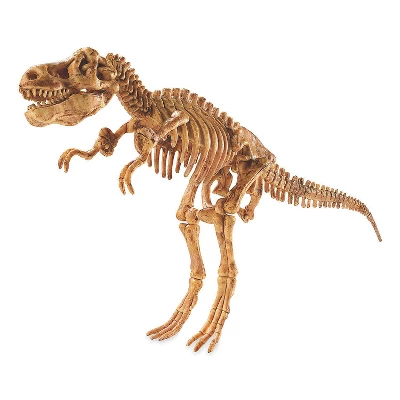 MindWare Dig It Up! Dino Models: Set Of 2 Plus Free Dino Egg - Science And Nature 4 MindWare Dig It Up! Dino Models: Set Of 2 Plus Free Dino Egg - Science And Nature - Image 2