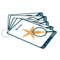 Kaplan Early Learning Specimen Stones And Tabletop Stand -Toy Store GUEST 5840aacc 5076 4211 a8ac 438cfb3f3b31