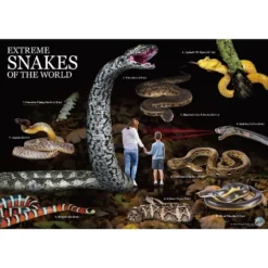 WILD! Environmental Science Extreme Snakes Of The World 11 WILD! Environmental Science Extreme Snakes Of The World -Toy Store GUEST 5bedd1cf 9da9 4aa7 be18 2f0229881dba