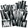 Royclo Human X-Rays On Film - 18 Pieces -Toy Store GUEST 5de23d78 b587 4edc 8245 ce4e2dad35a6
