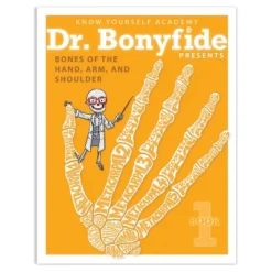 Know Yourself 4 Book Set: Dr. Bonyfide Presents 206 Bones Of The Human Body -Toy Store GUEST 63110bb5 6404 450a 8994 81d6f8d97221