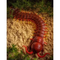TERRA By Battat Remote Control Centipede -Toy Store GUEST 63ef1ee3 ff61 4bfb 8a3a 9d54ba7aef08