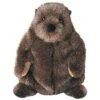 Douglas Chuckwood Groundhog Plush Stuffed Animal