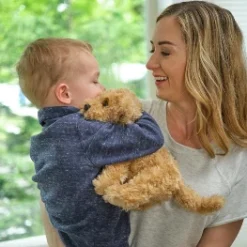 Bearington Collection Lil' Doodles Small Plush Labradoodle Stuffed Animal Puppy Dog, 6.5" -Toy Store GUEST 7300a9e9 871b 4cc3 99ff 76e572b7092d