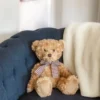 Bearington Theodore Brown Plush Stuffed Animal Teddy Bear, 17 Inches -Toy Store GUEST 7bf3c423 ffa9 4802 b91d f6f11d0d9f88