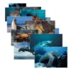 Stages Learning Materials Sea Life Poster Set, Set Of 14 -Toy Store GUEST 8ba3c211 bb6c 4b69 bbce 013a017a95ad