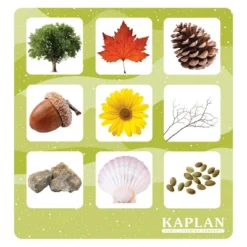 Kaplan Early Learning Shadow Matching And Memory Game