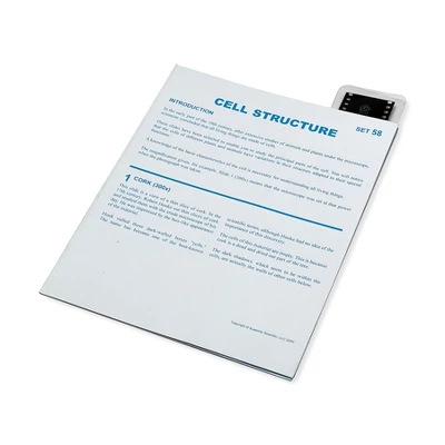 Supertek® Microslide, Cell Structure, 35mm 3 Supertek® Microslide, Cell Structure, 35mm