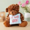Get Well Soon Bear Plush Pillow, Get Well Soon Bear For Kids, Adults (Dark Brown, 14 In) 2 Get Well Soon Bear Plush Pillow, Get Well Soon Bear For Kids, Adults (Dark Brown, 14 In) -Toy Store GUEST 9737529c cf66 41f0 906e b953ab20713b