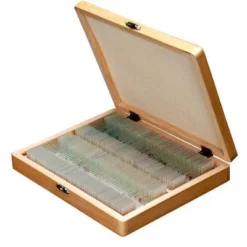 100pc Set Of Prepared Biological Glass Slides In A Wooden Storage Box - AmScope