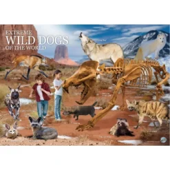 WILD! Environmental Science Extreme WILD! Dogs Of The World 9 WILD! Environmental Science Extreme WILD! Dogs Of The World -Toy Store GUEST 9e1f6bc0 dbe6 4426 acc5 4aa6ab94276b