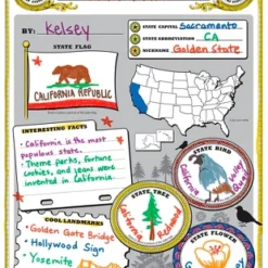 Teacher Created Resources Amazing State Poster Pack, 32 Sheets
