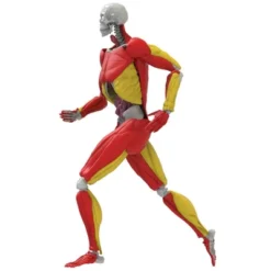 Science To The Max Interactive Human Body Kit 15 Science To The Max Interactive Human Body Kit -Toy Store GUEST b099ede6 2bfb 4b3c 813a 6b57181a8562