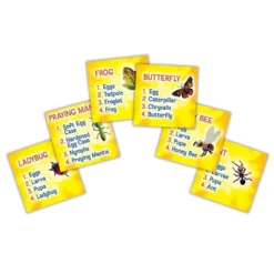 Insect Lore Products Life Cycle Figurines - 24 Pieces -Toy Store GUEST b23cbf29 9123 43a5 8b84 733513f1f899