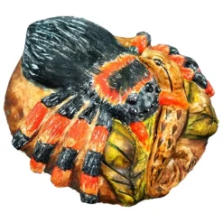 WILD! Environmental Science Extreme Spiders Of The World 14 WILD! Environmental Science Extreme Spiders Of The World -Toy Store GUEST b3d886af 4757 4225 8e93 2c33d0e1cbae