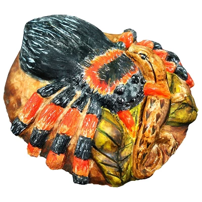 WILD! Environmental Science Extreme Spiders Of The World 8 WILD! Environmental Science Extreme Spiders Of The World - Image 6