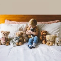 Bearington Ringo Plush Raccoon Stuffed Animal, 10.5 Inch -Toy Store GUEST bf649d6b e7eb 42f8 bdd8 8af64fce6d81