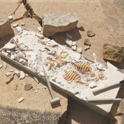 MindWare Dig It Up! Dino Models: Set Of 2 Plus Free Dino Egg - Science And Nature