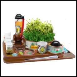 WILD! Environmental Science Mars Landing Survival Kit 12 WILD! Environmental Science Mars Landing Survival Kit -Toy Store GUEST d7baadfb bd1b 4248 a784 480ace3a4963