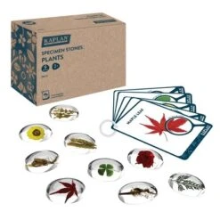 Kaplan Early Learning Specimen Stones And Tabletop Stand -Toy Store GUEST da9caafb 302f 4780 94ec e446f0cb1965