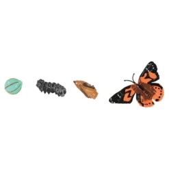 Insect Lore Products Life Cycle Figurines - 24 Pieces -Toy Store GUEST df2e9061 3c74 4429 a1b2 51cf3404dfff