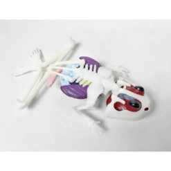 Top Secret Toys Dissect It - Frog Nature Exploration Toy -Toy Store GUEST e1bf7f53 91cf 4627 9395 629b735897d3