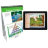 NewPath Learning Food Chains & Food Webs Flip Chart And Online Multimedia Lesson -Toy Store GUEST e60adce8 90e1 4e1a 8eb4 ec6848f8aacf