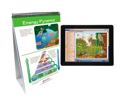 NewPath Learning Food Chains & Food Webs Flip Chart And Online Multimedia Lesson 3 NewPath Learning Food Chains & Food Webs Flip Chart And Online Multimedia Lesson