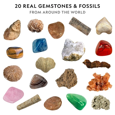 NATIONAL GEOGRAPHIC Mega Fossil & Gemstone Dig Kit, Excavate 10 Real Fossils & 10 Real Gems, STEM Science Gift For Mineralogy And Geology Enthusiasts 4 NATIONAL GEOGRAPHIC Mega Fossil & Gemstone Dig Kit, Excavate 10 Real Fossils & 10 Real Gems, STEM Science Gift For Mineralogy And Geology Enthusiasts - Image 2