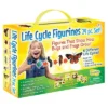 Insect Lore Products Life Cycle Figurines - 24 Pieces -Toy Store GUEST efa8e33f a7f4 48a9 b472 82a23be7c9ac