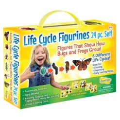 Insect Lore Products Life Cycle Figurines - 24 Pieces